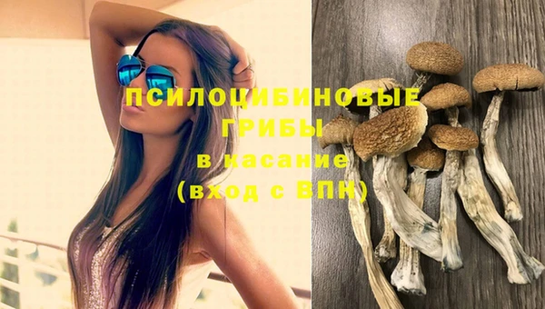 ECSTASY Кулебаки