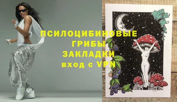 дмт Лагань