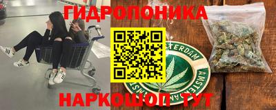 крисы Азнакаево