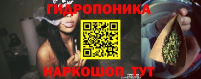 крисы Азнакаево