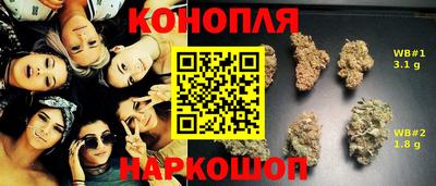 крисы Азнакаево