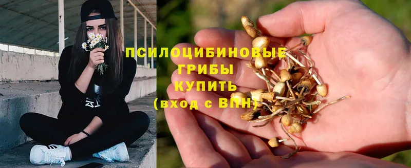 Галлюциногенные грибы ЛСД  купить наркотики цена  Реутов 
