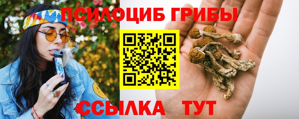 Галлюциногенные грибы Cubensis  Реутов 