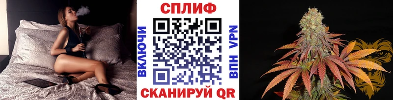 Каннабис OG Kush  Реутов 